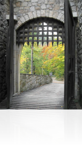 Gate image