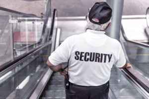 Security consulting image